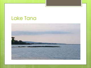 Lake Tana
 