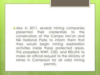  Also in 2011, several mining companies
presented their credentials to the
conservators of the Campo Ma‟an and
Nki National Parks to inform them that
they would begin mining exploration
activities inside these protected areas.
This propelled WWF, CED, and RELUFA to
make an official request to the Ministry of
Mines in Cameroon for all valid mining
permits.
 