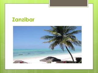 Zanzibar
 