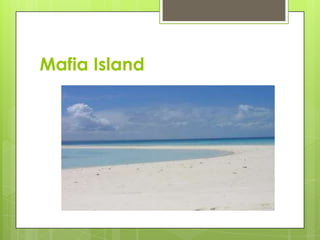 Mafia Island
 