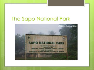 The Sapo National Park
 