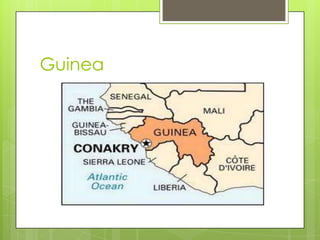 Guinea
 