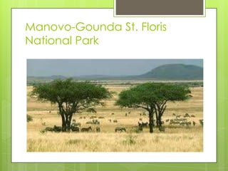 Manovo-Gounda St. Floris
National Park
 