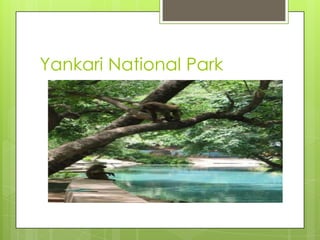 Yankari National Park
 