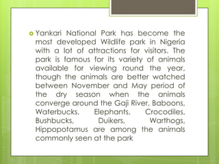  Yankari National Park has become the
most developed Wildlife park in Nigeria
with a lot of attractions for visitors. The
park is famous for its variety of animals
available for viewing round the year,
though the animals are better watched
between November and May period of
the dry season when the animals
converge around the Gaji River, Baboons,
Waterbucks, Elephants, Crocodiles,
Bushbucks, Duikers, Warthogs,
Hippopotamus are among the anirnals
commonly seen at the park
 