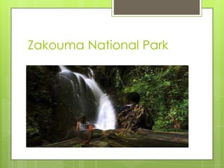 Zakouma National Park
 