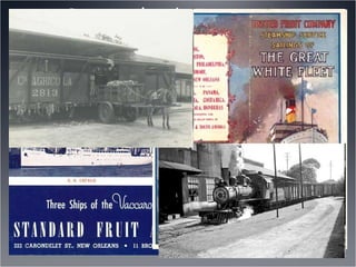 Companías de Frutas y La
Transportación en Centoamérica
1899 - UFCO emplea más de 15,000 personas.
 Ha puesto más de 100 miles de ferrocarriles para conectar las
plantaciones.
1901 - UFCO y SFCO están usando sus barcos para enviar
bananas a los Estados Unidos y turistas al Centroamérica.
 Hasta 1930, casi todos los cruceros en el Caribe hacían por
UFCO o SFCO.
1901 -También, la mayoría de los ferrocarriles de
Centroamérica están negociados y dirigidos por las
compañías fruteras.
 
