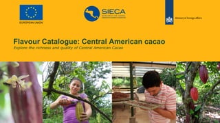Flavour Catalogue: Central American cacao
Explore the richness and quality of Central American Cacao
 