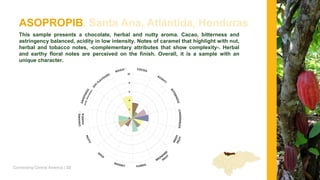 Connecting Central America | 35
La Masica, Atlántida, Honduras
This sample is characterised with a caramelized aroma and a...