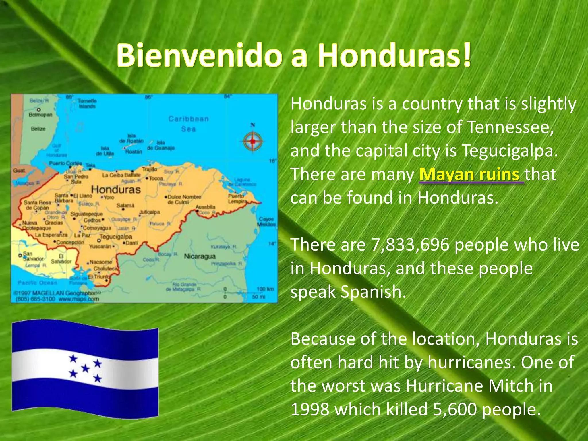 Honduras is a country that is slightly
larger than the size of Tennessee,
and the capital city is Tegucigalpa.
There are many Mayan ruins that
can be found in Honduras.

There are 7,833,696 people who live
in Honduras, and these people
speak Spanish.

Because of the location, Honduras is
often hard hit by hurricanes. One of
the worst was Hurricane Mitch in
1998 which killed 5,600 people.
 