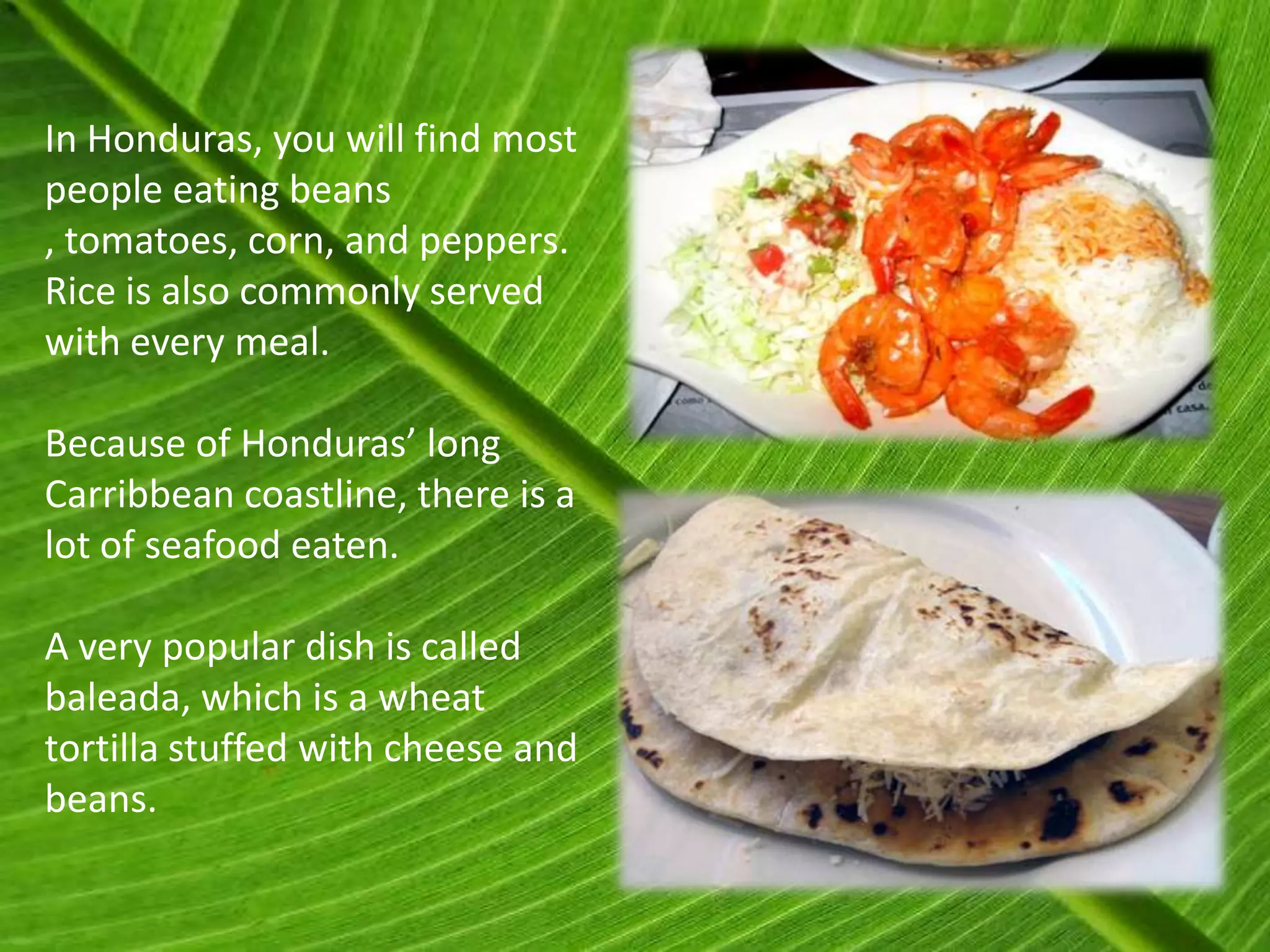 In Honduras, you will find most
people eating beans
, tomatoes, corn, and peppers.
Rice is also commonly served
with every meal.

Because of Honduras’ long
Carribbean coastline, there is a
lot of seafood eaten.

A very popular dish is called
baleada, which is a wheat
tortilla stuffed with cheese and
beans.
 