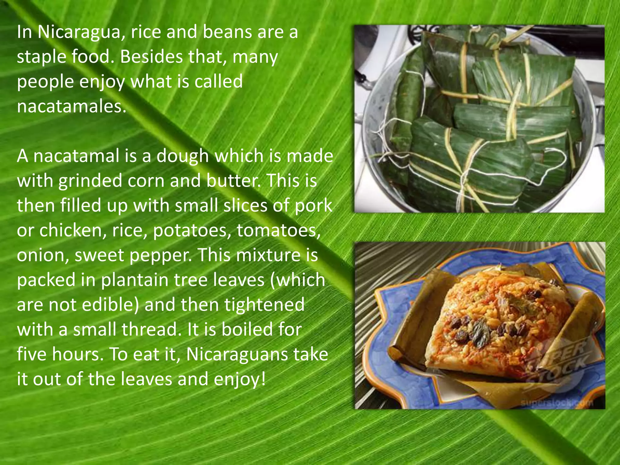 In Nicaragua, rice and beans are a
staple food. Besides that, many
people enjoy what is called
nacatamales.

A nacatamal is a dough which is made
with grinded corn and butter. This is
then filled up with small slices of pork
or chicken, rice, potatoes, tomatoes,
onion, sweet pepper. This mixture is
packed in plantain tree leaves (which
are not edible) and then tightened
with a small thread. It is boiled for
five hours. To eat it, Nicaraguans take
it out of the leaves and enjoy!
 