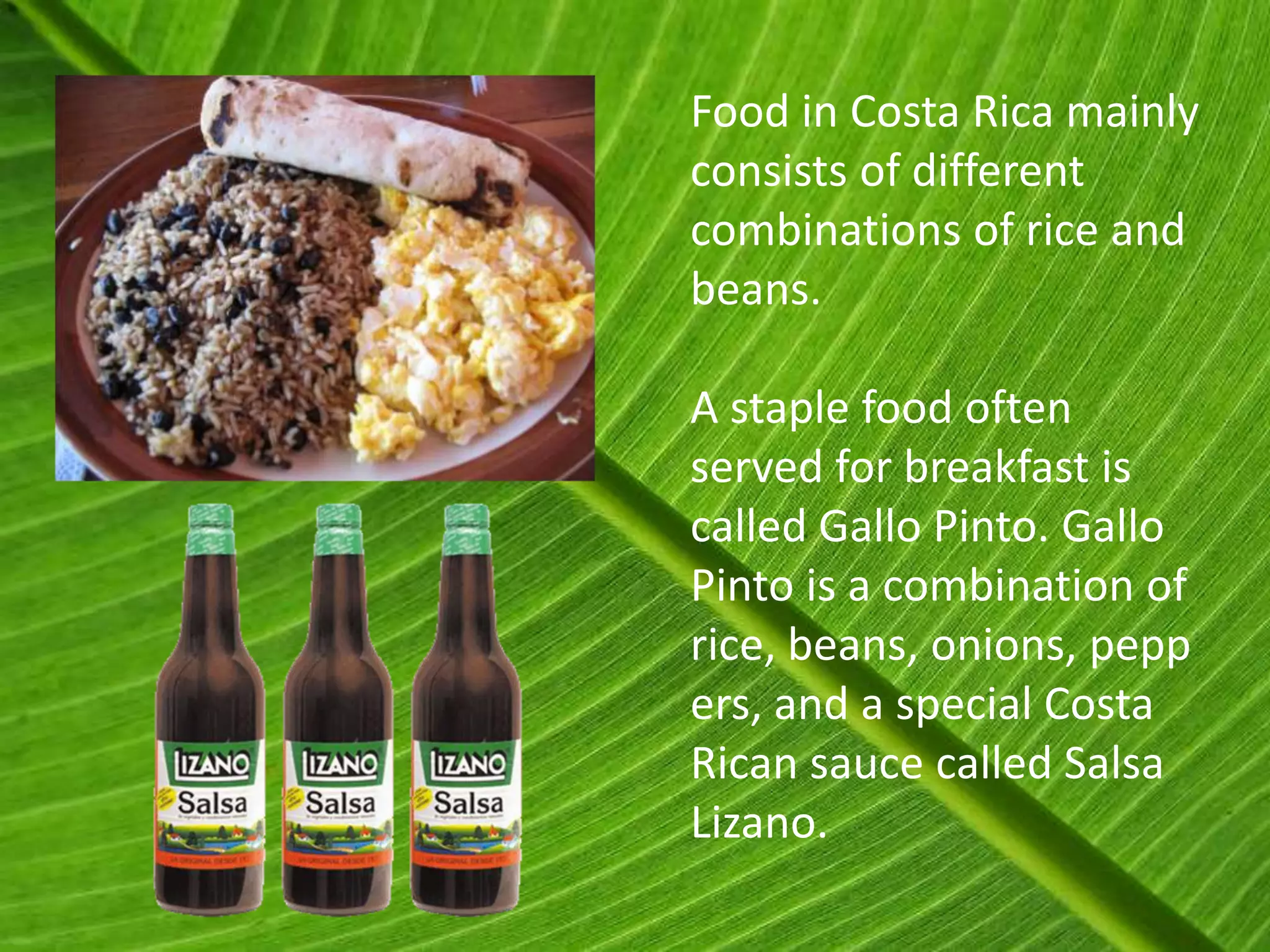 Food in Costa Rica mainly
consists of different
combinations of rice and
beans.

A staple food often
served for breakfast is
called Gallo Pinto. Gallo
Pinto is a combination of
rice, beans, onions, pepp
ers, and a special Costa
Rican sauce called Salsa
Lizano.
 