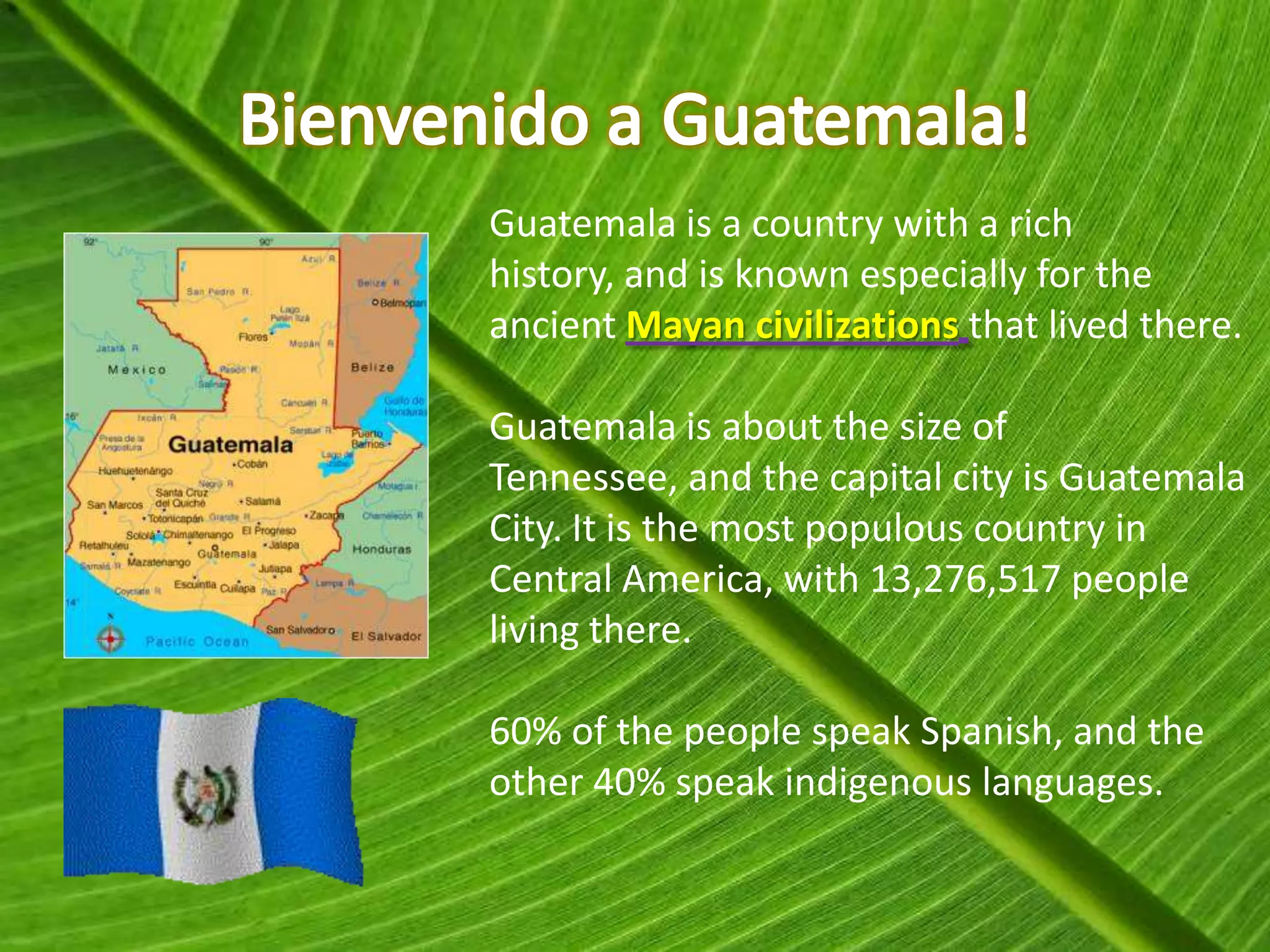 Guatemala is a country with a rich
history, and is known especially for the
ancient Mayan civilizations that lived there.

Guatemala is about the size of
Tennessee, and the capital city is Guatemala
City. It is the most populous country in
Central America, with 13,276,517 people
living there.

60% of the people speak Spanish, and the
other 40% speak indigenous languages.
 