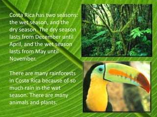 Costa Rica has two seasons:
the wet season, and the
dry season. The dry season
lasts from December until
April, and the wet season
lasts from May until
November.

There are many rainforests
in Costa Rica because of so
much rain in the wet
season. There are many
animals and plants.
 