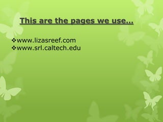 This are the pages we use…

www.lizasreef.com
www.srl.caltech.edu
 