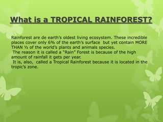 What is a TROPICAL RAINFOREST?

Rainforest are de earth’s oldest living ecosystem. These incredible
places cover only 6% of the earth’s surface but yet contain MORE
THAN ½ of the world’s plants and animals species.
 The reason it is called a “Rain” Forest is because of the high
amount of rainfall it gets per year.
 It is, also, called a Tropical Rainforest because it is located in the
tropic’s zone.
 