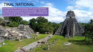 TIKAL NATIONAL
PARKTikal National Park encompasses 575 square kilometres
of jungle and thousands of ruined structures. The central
part of the ancient city alone contains 3,000 buildings and
covers about 16 square kilometres.
 