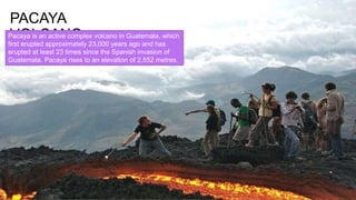 PACAYA
VOLCANOPacaya is an active complex volcano in Guatemala, which
first erupted approximately 23,000 years ago and has
erupted at least 23 times since the Spanish invasion of
Guatemala. Pacaya rises to an elevation of 2,552 metres.
 