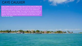 San Pedro is a town on the southern part of the island
of Ambergris Caye in the Belize District of the nation
of Belize, in Central America. According to 2015 mid-
year estimates, the town has a population of about
16,444. It is the second largest town in the Belize
District and largest in the Belize Rural South
constituency. The once sleepy fishing village was
granted the status of a town in 1984 and was
sometimes said to be the inspiration for the song "La
Isla Bonita", written by Madonna, Patrick Leonard and
Bruce Gaitsch. San Pedro's inhabitants are known as
San Pedranos. Most speak both Spanish and English
fluently. Due to the influence of Kriol, most San
Pedranos can speak it, as well as an intermediate form
that is known as "Kitchen Spanish".
CAYE CAULKER
Caye Caulker is a small Caribbean island off the coast of Belize. It’s
divided by a narrow channel called the Split, where there’s a bar
and a sandy beach. To the south is the island’s only settlement,
known as Caye Caulker Village. The north of the island is home to
dense mangrove forest and diverse birdlife, protected by a forest
reserve. The Caye Caulker Marine Reserve has dive sites on the
Belize Barrier Reef.
 