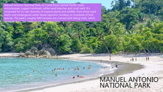 Tortuguero National Park is a National Park
in the Limón Province of Costa Rica. It is
situated within the Tortuguero Conservation
Area of the northeastern part of the
country.[1] Despite its remote location, it is
the third-most visited park in Costa Rica,
reached only by airplane or boat.[2] The park
has a large variety of biological diversity due
to the existence within the reserve of eleven
different habitats, including rainforest,
mangrove forests, swamps, beaches, and
lagoons. Located in a tropical climate, it is
very humid, and receives up to 250 inches
(6,400 mm) of rain a year.
MANUEL ANTONIO
NATIONAL PARK
Manuel Antonio National Park, on Costa Rica’s central Pacific coast,
encompasses rugged rainforest, white-sand beaches and coral reefs. It’s
renowned for its vast diversity of tropical plants and wildlife, from three-toed
sloths and endangered white-faced capuchin monkeys to hundreds of bird
species. The park’s roughly 680 hectares are crossed with hiking trails, which
meander from the coast up into the mountains.
 