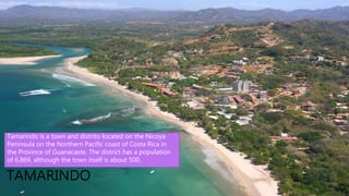 Manuel Antonio National Park, on Costa
Rica’s central Pacific coast, encompasses
rugged rainforest, white-sand beaches
and coral reefs. It’s renowned for its vast
diversity of tropical plants and wildlife,
from three-toed sloths and endangered
white-faced capuchin monkeys to
hundreds of bird species. The park’s
roughly 680 hectares are crossed with
hiking trails, which meander from the
coast up into the mountains.
TAMARINDO
Tamarindo is a town and distrito located on the Nicoya
Peninsula on the Northern Pacific coast of Costa Rica in
the Province of Guanacaste. The district has a population
of 6,869, although the town itself is about 500.
 