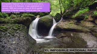 TOP DESTINATION IN EL SALVADOR–
ILOBASCO
• Ilobasco is a municipality in the Cabañas
department of El Salvador. It is located 30 miles (48
kilometers) northeast of the capital, San Salvador.
• This town is known country wide (and
internationally) for its clay (other materials also
used) craftsmanship or pottery. The clay is extracted
and prepared locally. The clay work includes the
"miniatures", which are small representations of
daily scenes as lived by Salvadorans, no bigger
than 2 inches tall. The Town is also home for
second division soccer team El Roble. One version
of the miniatures are the "surprises", which are
basically a scene covered with another piece of clay
shaped and painted in the form of a fruit, an egg, a
house or other things. The cover can be removed
and then the scene can be seen.
El Imposible National Park is a tropical forest and a
national park in El Salvador. It was established on 1
January 1989 and covers an area of 38.20 square
kilometres. It literally means, "national park The
Impossible" in English.
 