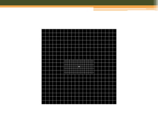 Central and peripheral visual field | PPTX