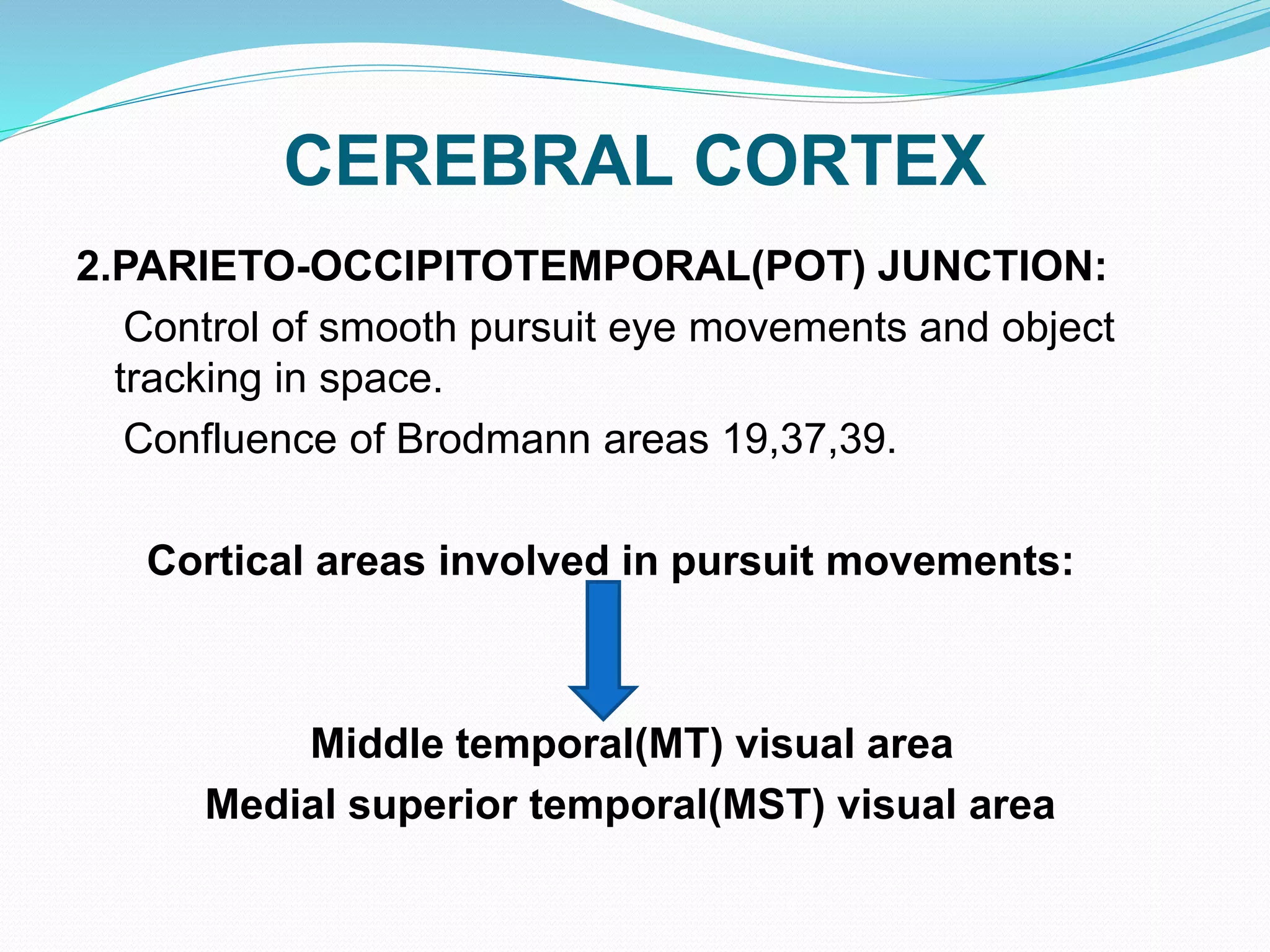 CEREBRAL CORTEX
2.PARIETO-OCCIPITOTEMPORAL(POT) JUNCTION:
Control of smooth pursuit eye movements and object
tracking in space.
Confluence of Brodmann areas 19,37,39.
Cortical areas involved in pursuit movements:
Middle temporal(MT) visual area
Medial superior temporal(MST) visual area
 