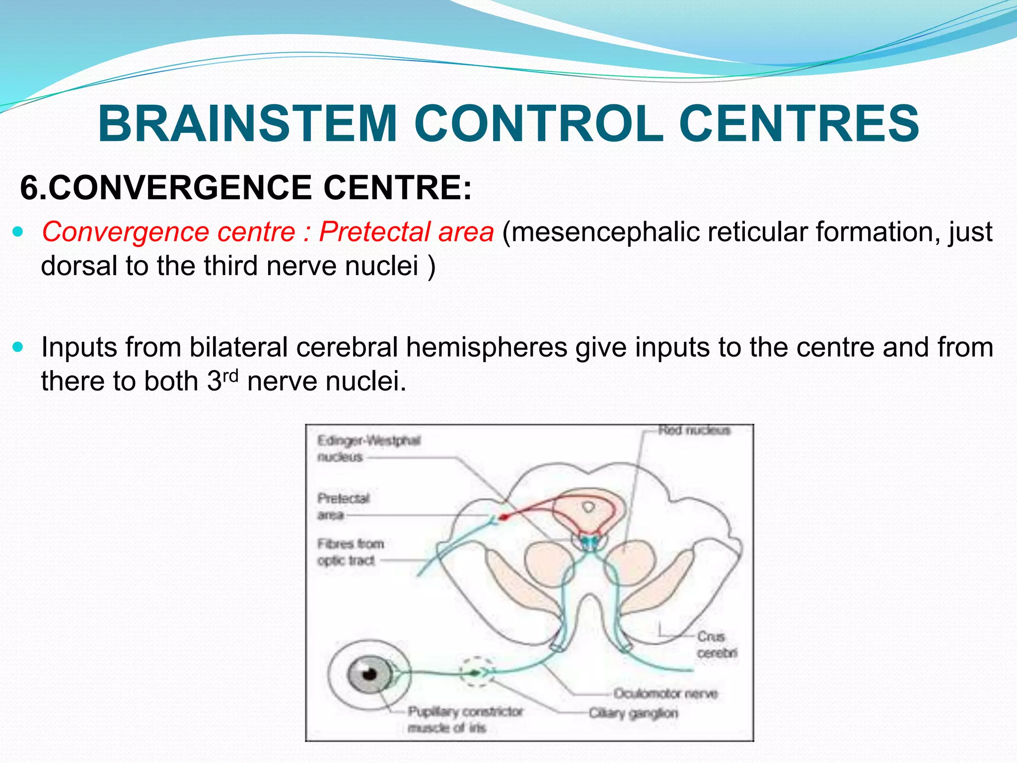 BRAINSTEM CONTROL CENTRES
6.CONVERGENCE CENTRE:
 Convergence centre : Pretectal area (mesencephalic reticular formation, just
dorsal to the third nerve nuclei )
 Inputs from bilateral cerebral hemispheres give inputs to the centre and from
there to both 3rd nerve nuclei.
 