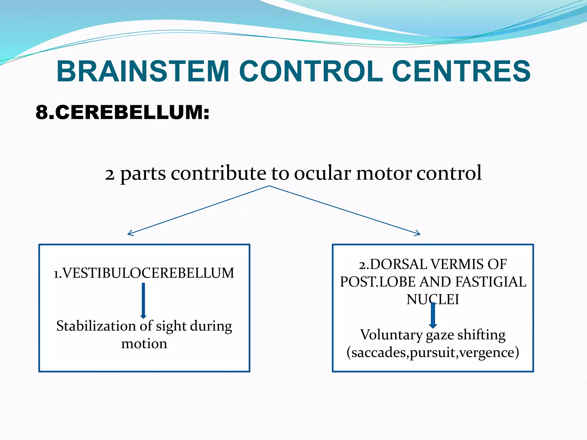 BRAINSTEM CONTROL CENTRES
8.CEREBELLUM:
2 parts contribute to ocular motor control
1.VESTIBULOCEREBELLUM
Stabilization of sight during
motion
2.DORSAL VERMIS OF
POST.LOBE AND FASTIGIAL
NUCLEI
Voluntary gaze shifting
(saccades,pursuit,vergence)
 