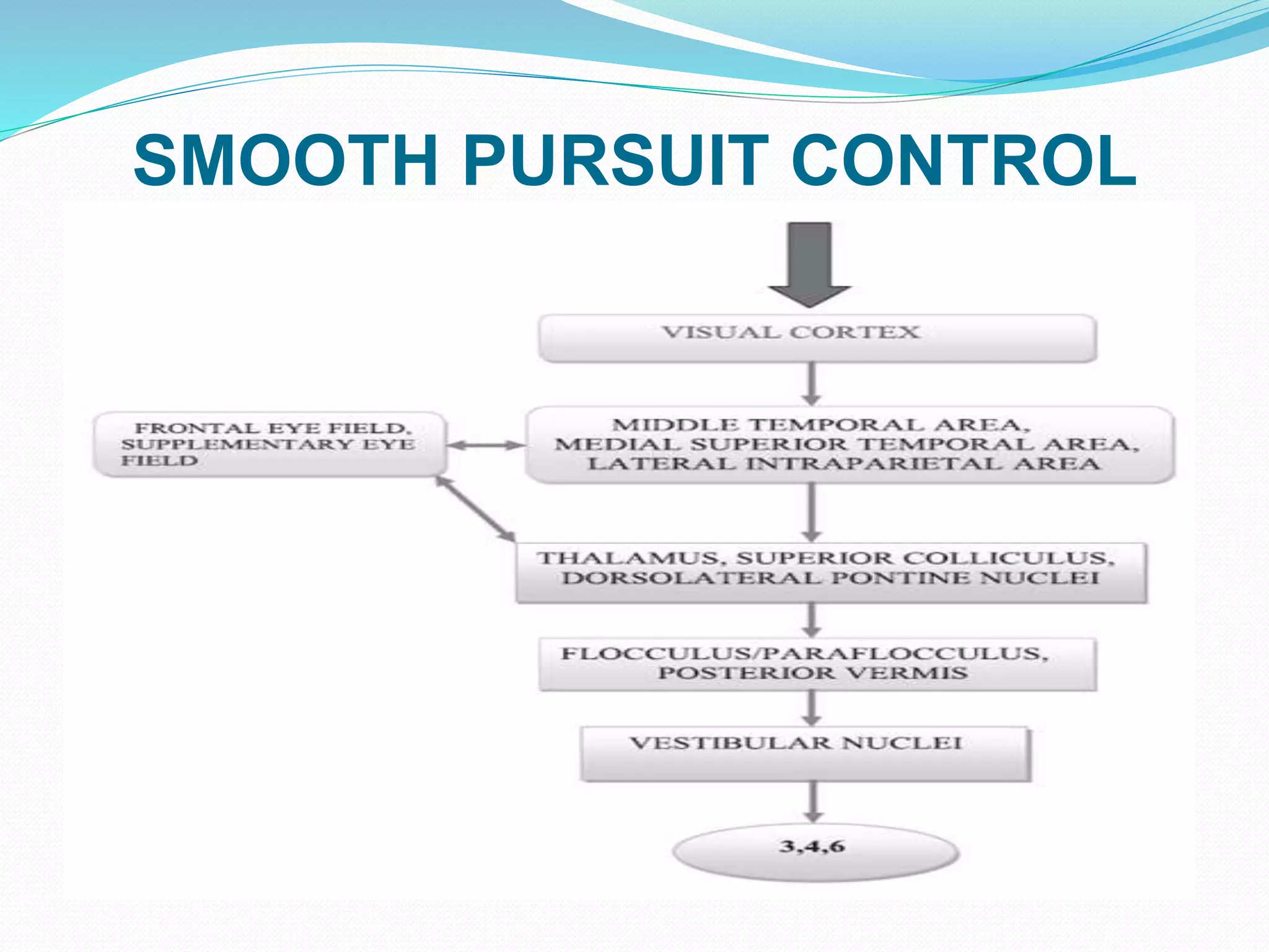 SMOOTH PURSUIT CONTROL
 