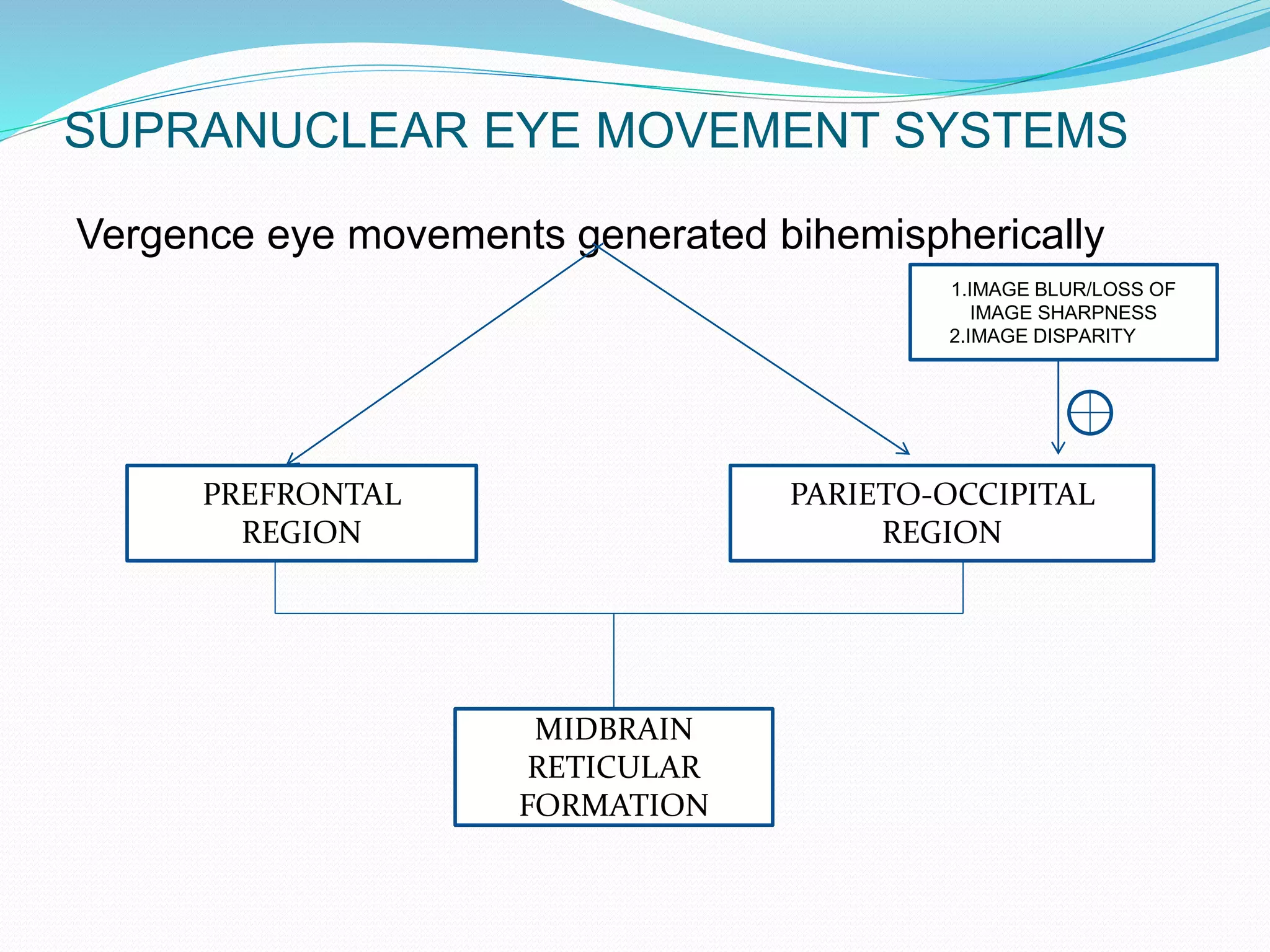 SUPRANUCLEAR EYE MOVEMENT SYSTEMS
Vergence eye movements generated bihemispherically
PREFRONTAL
REGION
PARIETO-OCCIPITAL
REGION
1.IMAGE BLUR/LOSS OF
IMAGE SHARPNESS
2.IMAGE DISPARITY
MIDBRAIN
RETICULAR
FORMATION
 