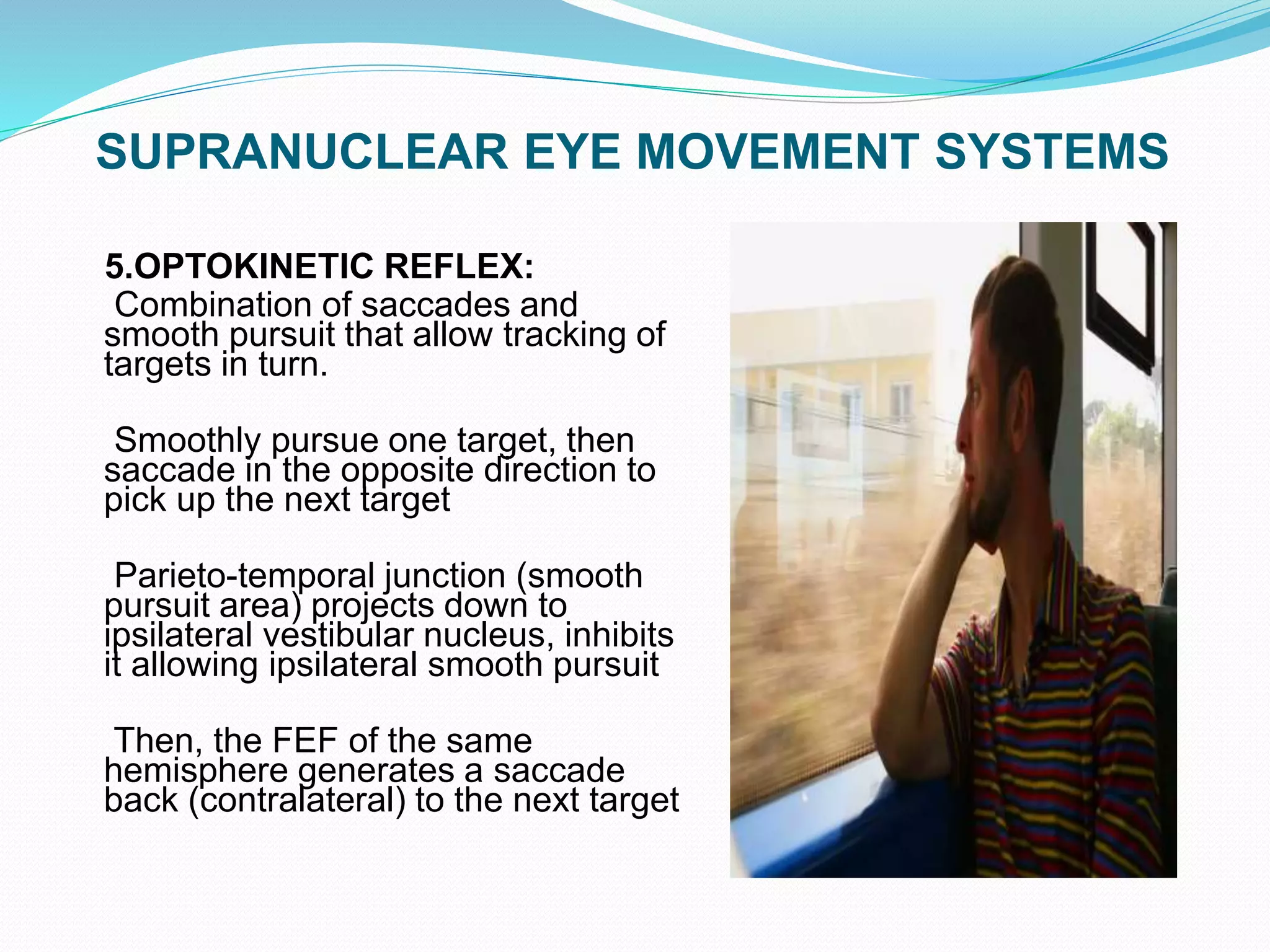 SUPRANUCLEAR EYE MOVEMENT SYSTEMS
5.OPTOKINETIC REFLEX:
Combination of saccades and
smooth pursuit that allow tracking of
targets in turn.
Smoothly pursue one target, then
saccade in the opposite direction to
pick up the next target
Parieto-temporal junction (smooth
pursuit area) projects down to
ipsilateral vestibular nucleus, inhibits
it allowing ipsilateral smooth pursuit
Then, the FEF of the same
hemisphere generates a saccade
back (contralateral) to the next target
 
