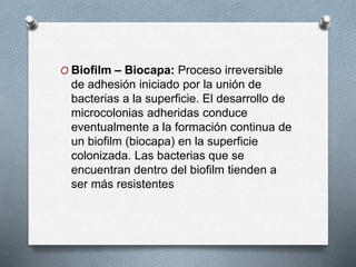 O Biofilm – Biocapa: Proceso irreversible
de adhesión iniciado por la unión de
bacterias a la superficie. El desarrollo de
microcolonias adheridas conduce
eventualmente a la formación continua de
un biofilm (biocapa) en la superficie
colonizada. Las bacterias que se
encuentran dentro del biofilm tienden a
ser más resistentes
 