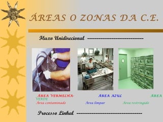 ÁREAS O ZONAS DA C.E.

  Fluxo Unidirecional ------------------------------




  ÁREA VERMELHA-               ÁREA AZUL                      ÁREA
 VERDE
 Área contaminado       Área limpar        Área restringido


 Processo Linhal -----------------------------------
 