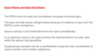 Central Disorders of Ocular Motility.pptx
