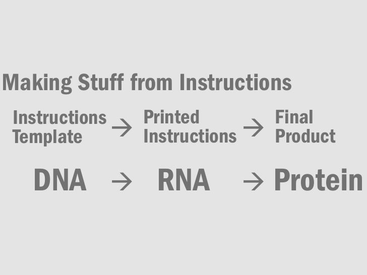 Central dogma