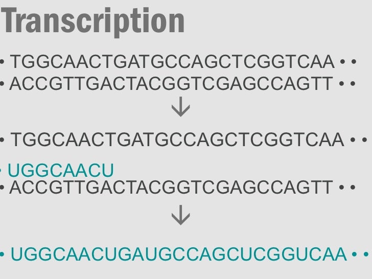 Central dogma