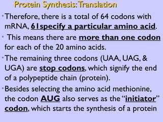 Protein Synthesis: Translation Therefore, there is a total of 64 codons with mRNA,  61specify a particular amino acid . This means there are  more than one codon  for each of the 20 amino acids.  The remaining three codons (UAA, UAG, & UGA) are  stop codons , which signify the end of a polypeptide chain (protein).  Besides selecting the amino acid methionine, the codon  AUG  also serves as the “ initiator ”  codon , which starts the synthesis of a protein 