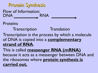 Protein Synthesis Flow of Information: DNA   RNA   Proteins Transcription  Translation Transcription is the process by which a molecule of DNA is copied into a  complementary strand of RNA .  This is called  messenger RNA (mRNA)  because it acts as a messenger between DNA and the ribosomes where  protein synthesis is carried out. 