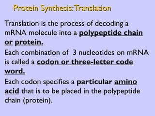 Protein Synthesis: Translation Translation   is the process of decoding a mRNA molecule into a  polypeptide chain or   protein. Each combination of  3 nucleotides on mRNA is called a  codon or three-letter code word.   Each codon specifies a  particular  amino acid  that is to be placed in the polypeptide chain (protein). 