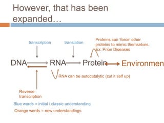 However, that has been
expanded…

                                               Proteins can ‘force’ other
        transcription        translation       proteins to mimic themselves.
                                               Ex: Prion Diseases


DNA                 RNA                Protein               Environmen
                         RNA can be autocatalytic (cut it self up)


   Reverse
   transcription
Blue words = initial / classic understanding
Orange words = new understandings
 