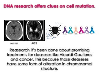 DNA research offers clues on cell mutation.
Reasearch it’s been done about promising
treatments for deaseses like Aicardi-Goutieres
and cancer. This because those deaseses
have some form of alteration in chromosomal
structure.
 
