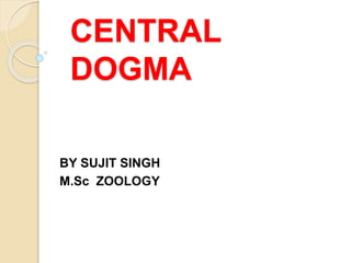 CENTRAL
DOGMA
BY SUJIT SINGH
M.Sc ZOOLOGY
 