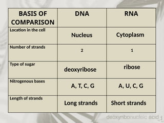LECTURE PRESENTATION ON CENTRAL DOGMA FOR GRADE 10 | PPTX