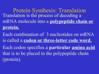 Comprehensive Overview of Protein Synthesis: Transcription and ...