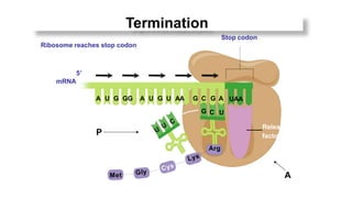 Cell Stop Functioning Representation Central Dogma-Cell Theory.pptx