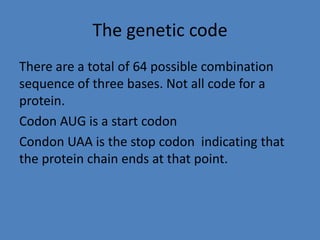 Stop Code Uaa Central dogma of biology | PPTX
