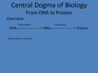 Central Dogma of Biology
From DNA to Protein
Overview:
DNA---------------------> RNA--------------------> Protein
transcription translation
Genes code for proteins
 